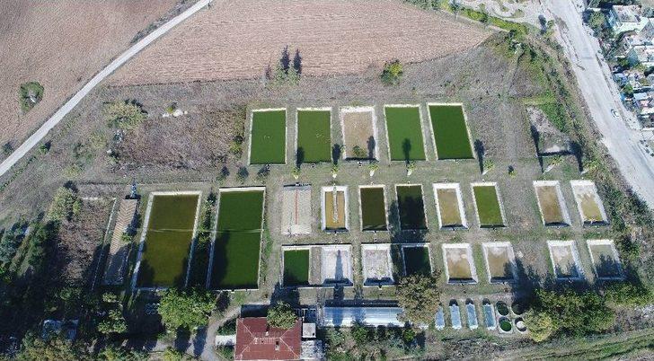 Karidese Yatıran Kazanıyor G3