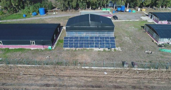 Karidese Yatıran Kazanıyor G4