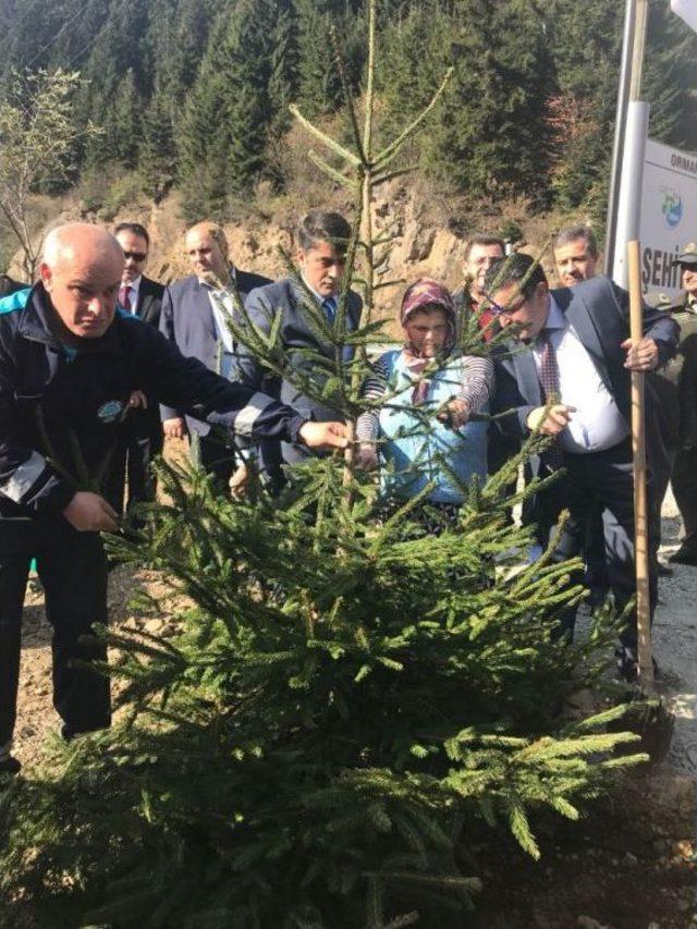 Şehit Eren Bülbül’ün Anısına Hatıra Ormanı Oluşturuldu