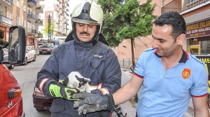 Hayvanların Cankurtaranı Ankara İtfaiyesi