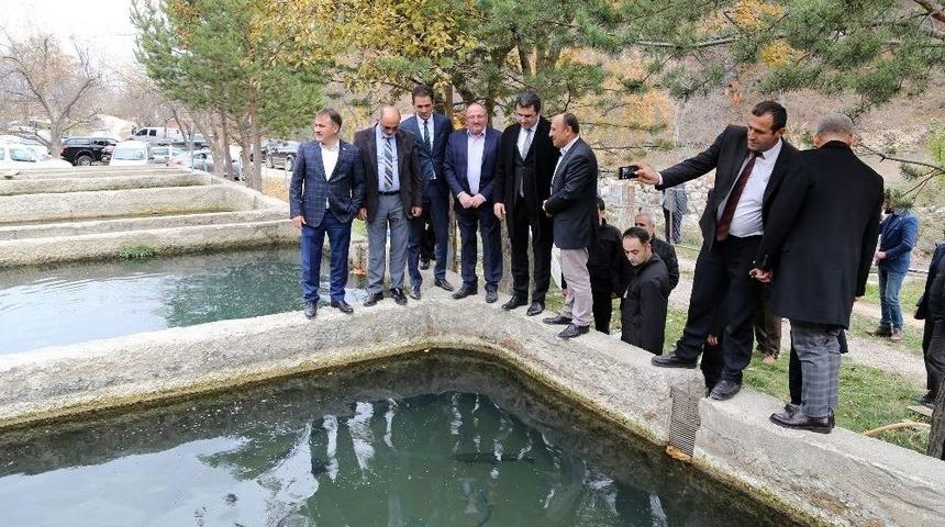 G&uuml;m&uuml;şhane&rsquo;de Kırmızı Benekli Alabalık &Uuml;retimi Başladı