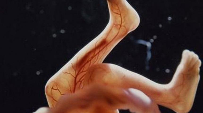 Bir Bebeğin Anne Karnındaki Gelişimini Hi&ccedil; Bu Kadar Yakından G&ouml;rmemiştiniz!