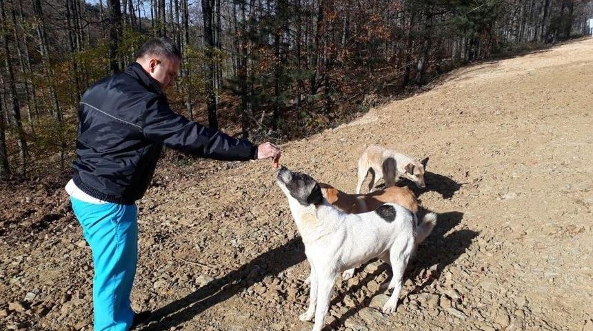 Sokak Hayvanlarına Sosisli İla&ccedil;lama