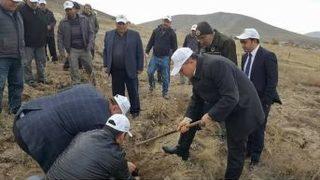 İkipınar’da 68 Bin Fidan Toprakla Buluştu