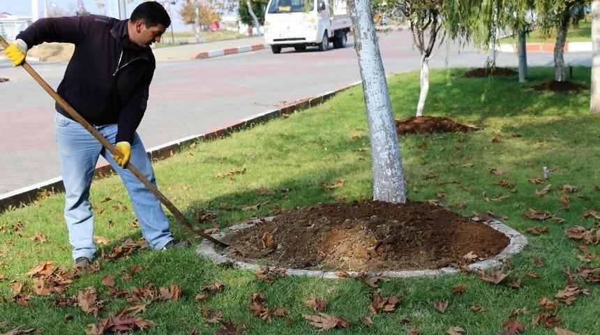 Marmaraereğlisi&rsquo;nde &Ccedil;i&ccedil;ek Ve Lale Soğanı Ekimi