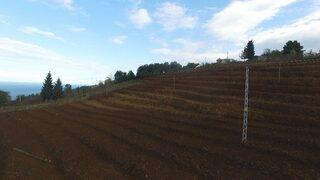 Fındık Bahçeleri Yenileniyor