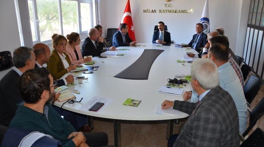 4. Milas Zeytin Hasat Şenliğine Son Şekli Verildi