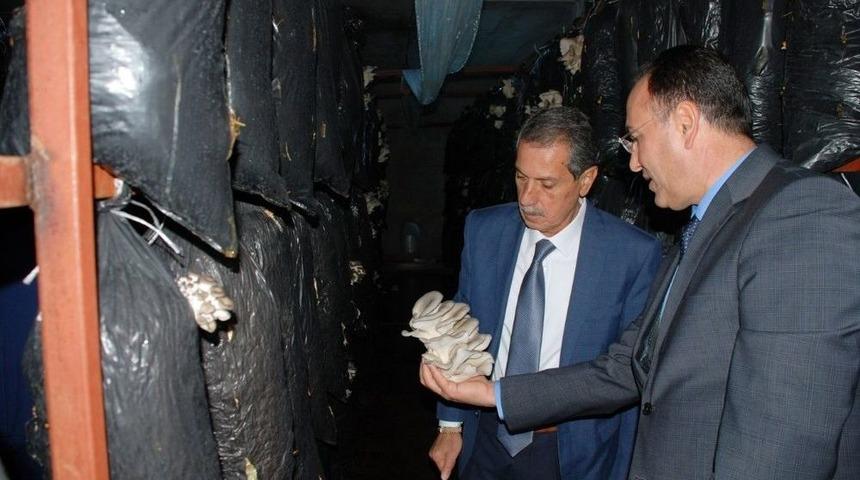 Vali Kalkancı Tarımsal Alandaki Ekonomik Yatırımları İnceledi