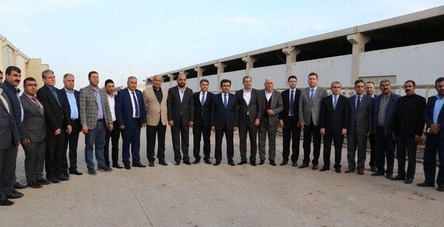 Diyarbakır’da Hayvancılıkta 15 Yılda Yüzde 72’lik Artış 1