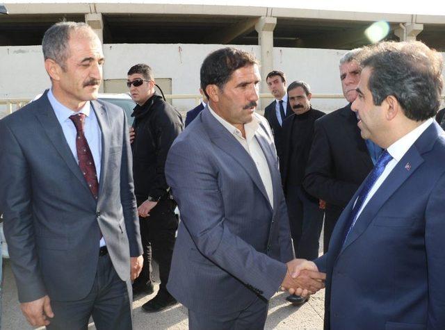 Diyarbakır’da Hayvancılıkta 15 Yılda Yüzde 72’lik Artış 2