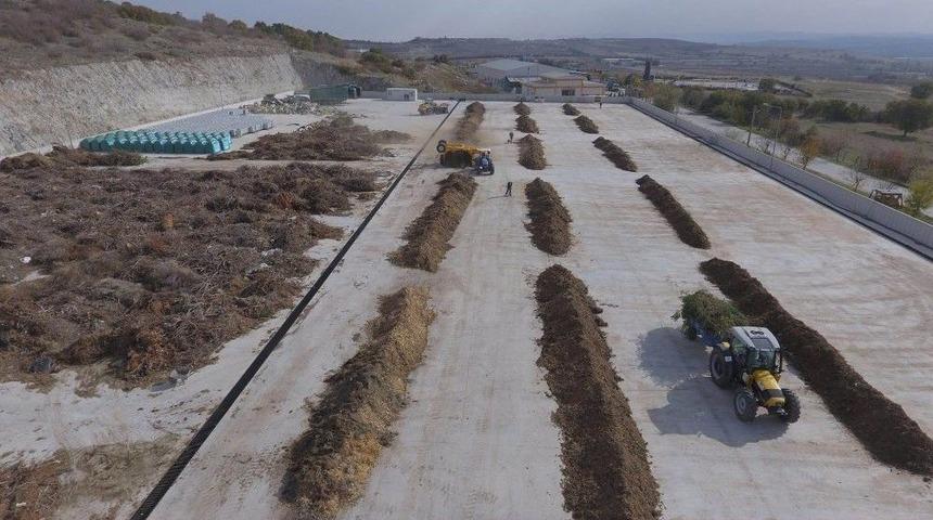 Budanan Dallardan G&uuml;bre &Uuml;retiliyor