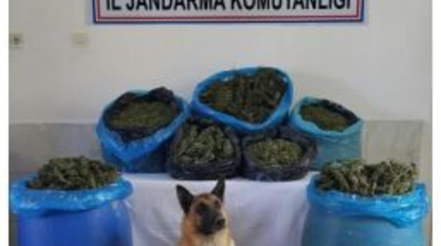 Denizli&rsquo;de Uyuşturucu Operasyonu: 2 G&ouml;zaltı