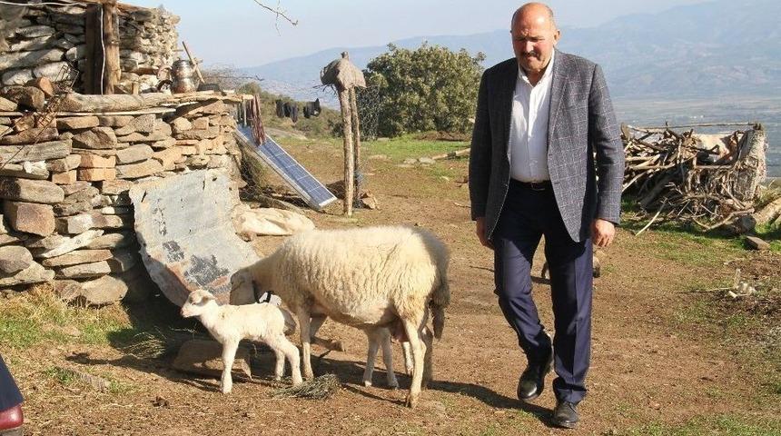 Başkan Ertürk, Çobanları 1300 Rakımda Ziyaret Etti