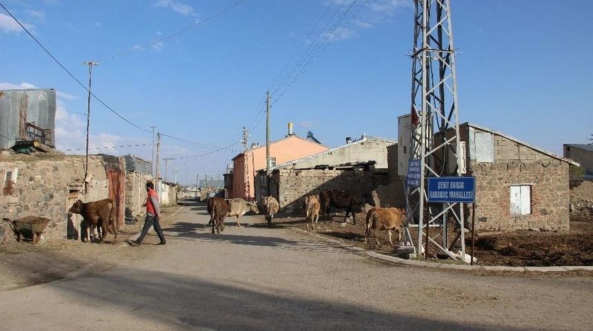 Akrabası Hala Fet&ouml;&rsquo;y&uuml; Savunuyor