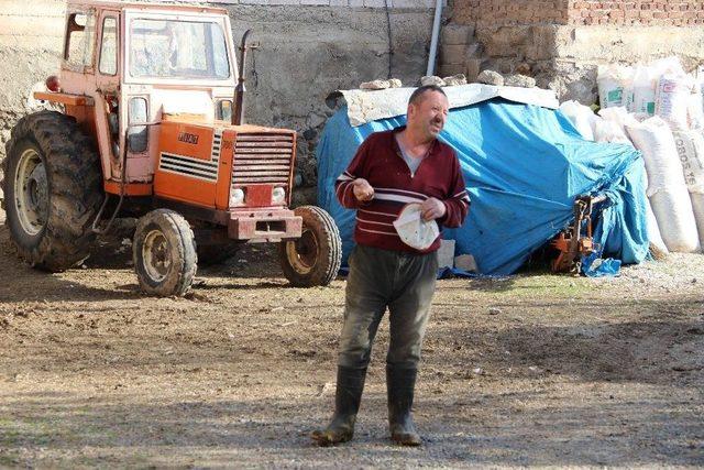 Akrabası Hala Fetö’yü Savunuyor