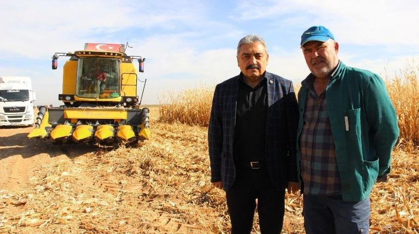 Karaman&rsquo;da Hasadı Başlayan Mısır Y&uuml;z G&uuml;ld&uuml;r&uuml;yor