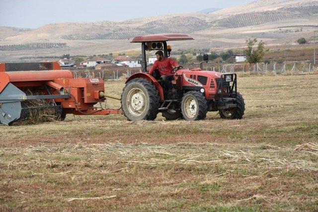 Alaşehir Belediyesinden Üreticiye 150 Ton Ücretsiz Yem Desteği