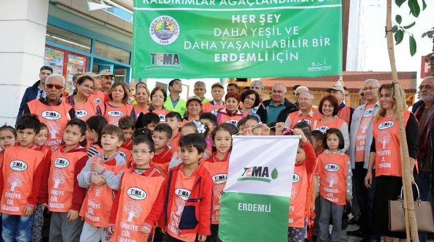 Erdemli Şehir Merkezinde Kaldırımlara Fidan Dikildi