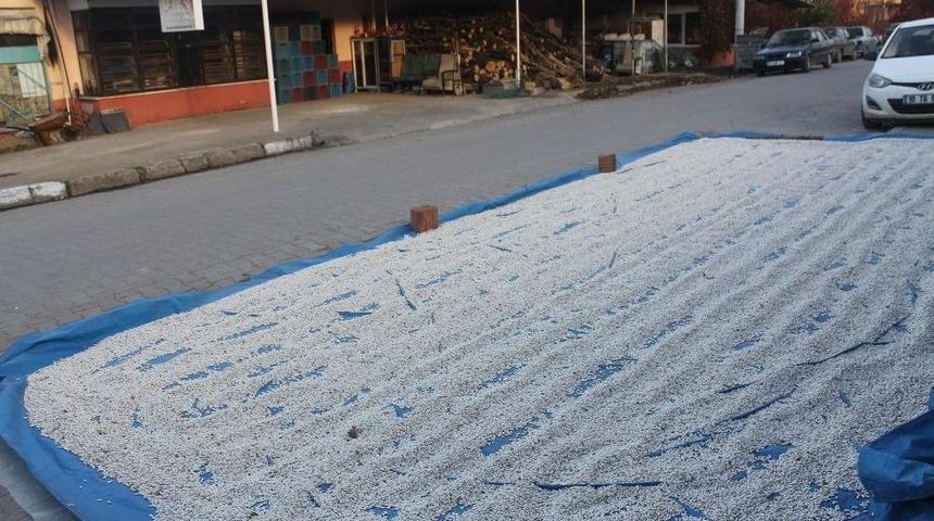 Ürünleri Sokaklarda Kurutuyorlar