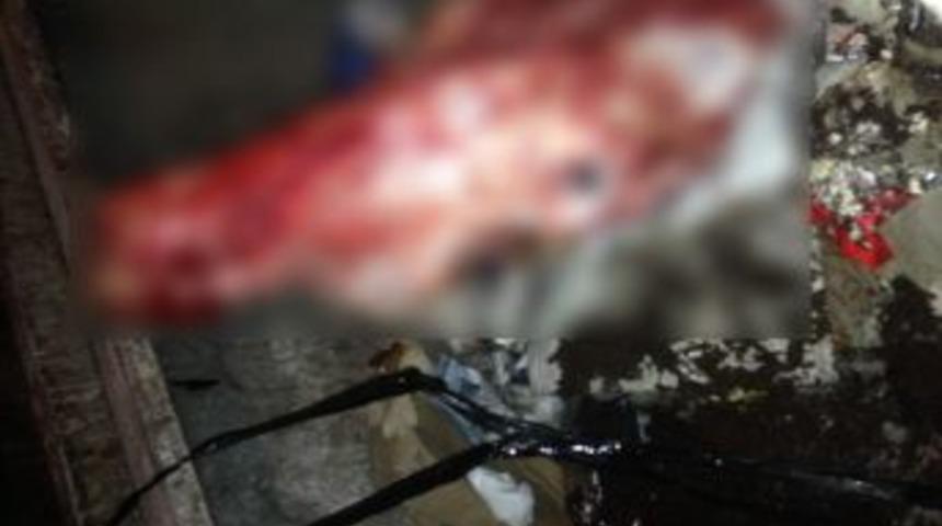 Çöpten Çıkarılan Kesik Başın Sığıra Ait Olduğu Anlaşıldı