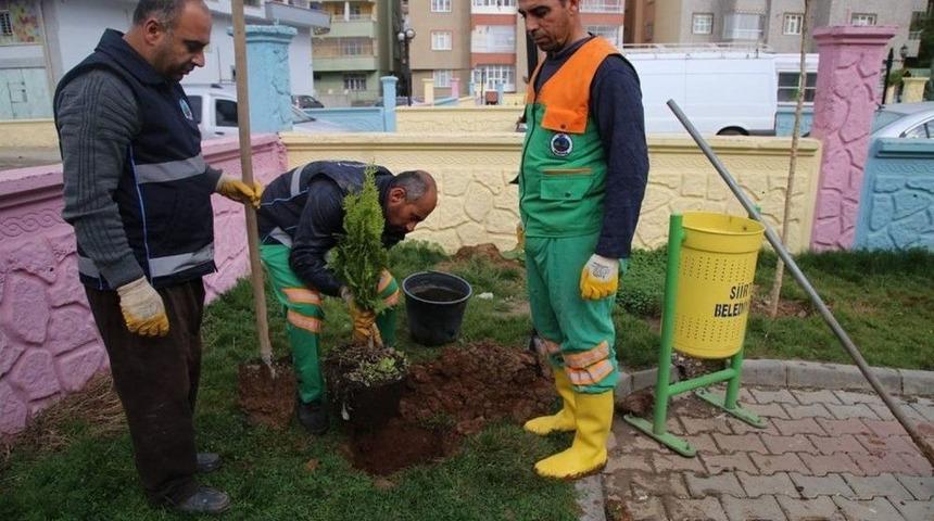 Yeşillendirme &Ccedil;alışmaları S&uuml;r&uuml;yor