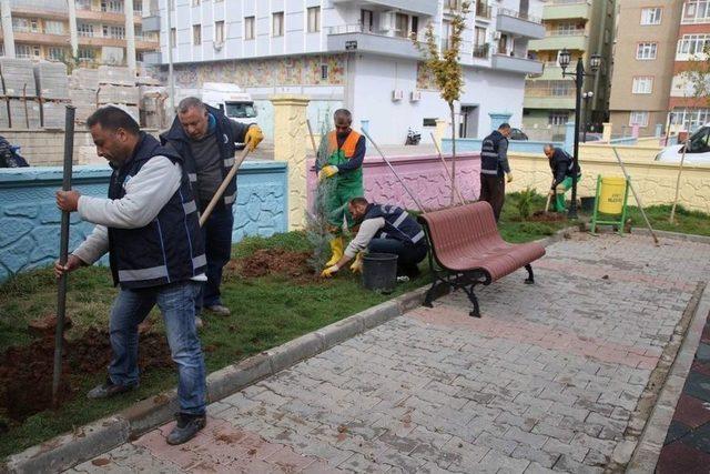 Yeşillendirme Çalışmaları Sürüyor