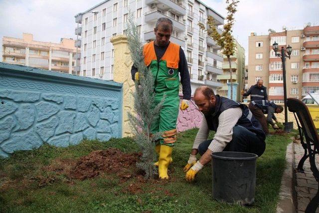 Yeşillendirme Çalışmaları Sürüyor