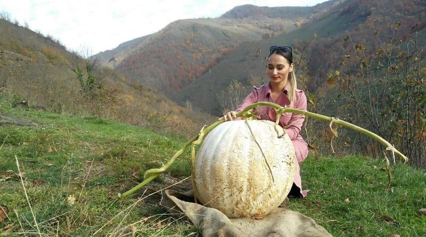 60 Kiloluk Kabak