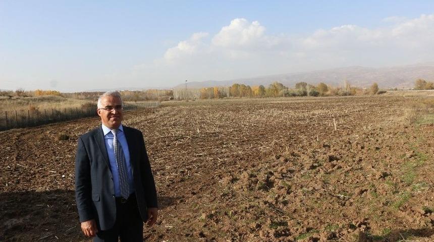 Bing&ouml;l Belediyesi Kendi Bitkisini Yetiştirecek