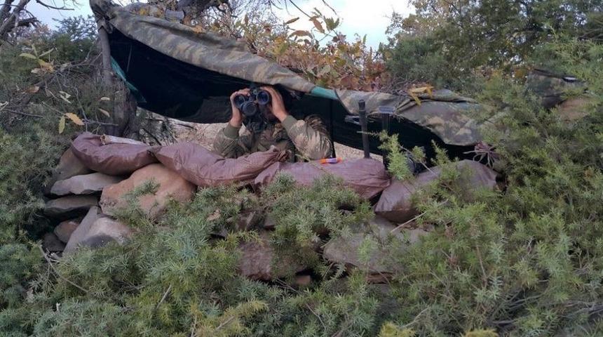 Bestler Dereler Hainlerden Temizlendi