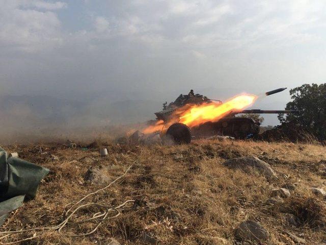 Bestler Dereler Hainlerden Temizlendi 1