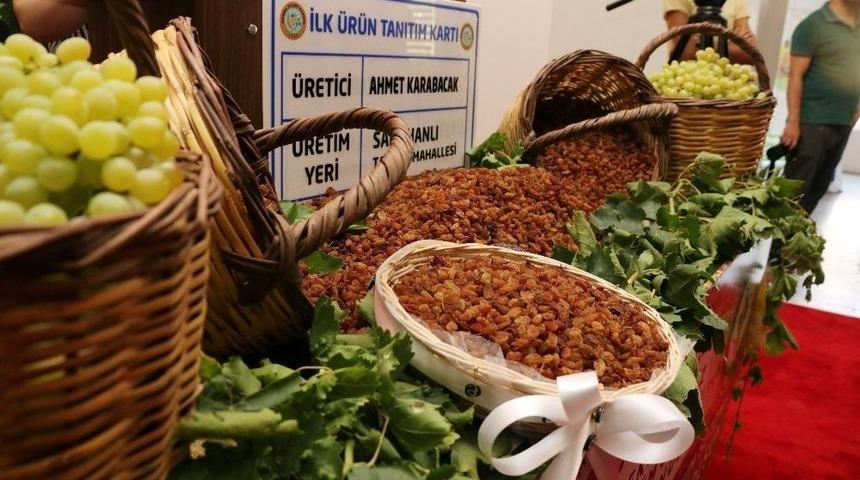 Manisa&rsquo;nın &Ccedil;ekirdeksiz Sultani &Uuml;z&uuml;m&uuml; Tescilleniyor