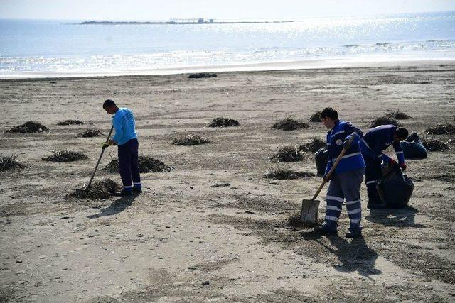 B&uuml;y&uuml;kşehir&rsquo;den Tuzla&rsquo;da &Ccedil;evre Temizliği 1