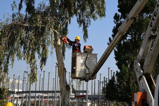 B&uuml;y&uuml;kşehir&rsquo;den Tuzla&rsquo;da &Ccedil;evre Temizliği 3