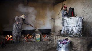 Pancarın Pekmeze Yolculuğu Fotoğraf Karelerine Yansıdı