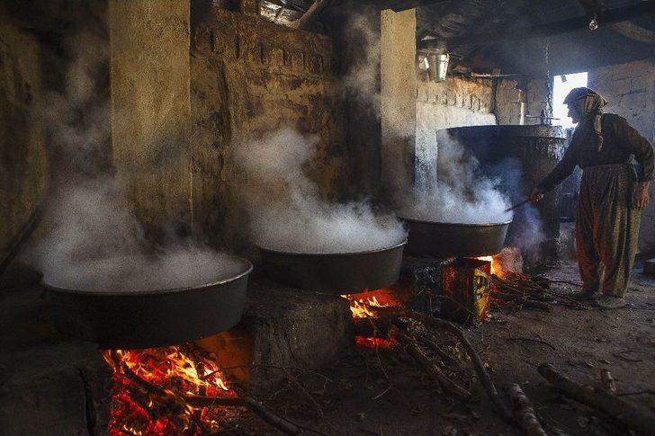 Pancarın Pekmeze Yolculuğu Fotoğraf Karelerine Yansıdı G1