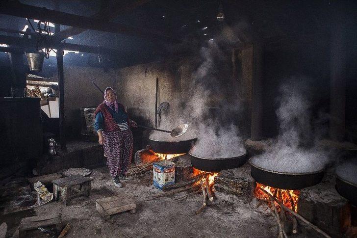 Pancarın Pekmeze Yolculuğu Fotoğraf Karelerine Yansıdı G3