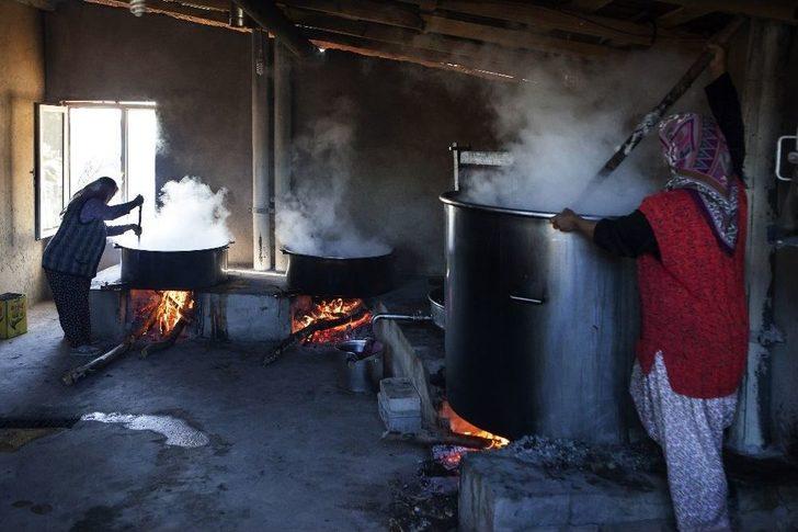 Pancarın Pekmeze Yolculuğu Fotoğraf Karelerine Yansıdı G4