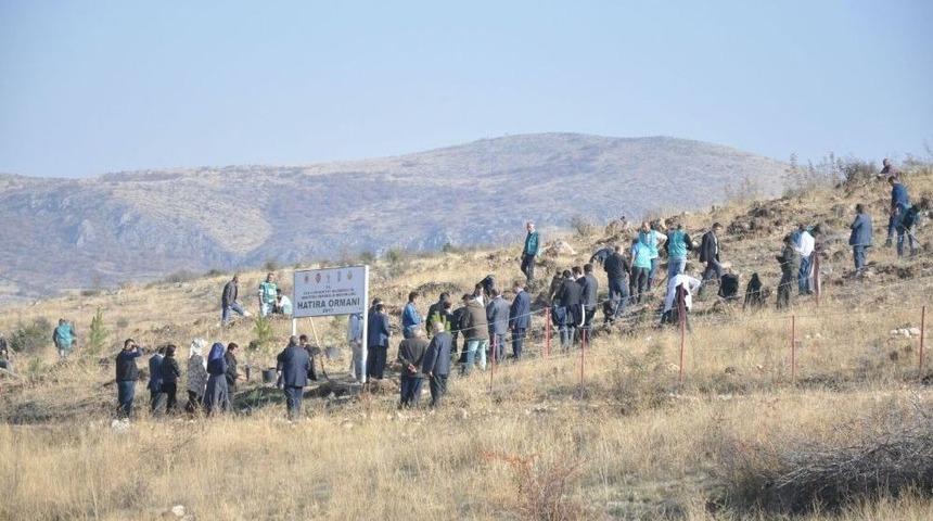 Denetimli Serbestlik H&uuml;k&uuml;ml&uuml;leri Fidan Dikti