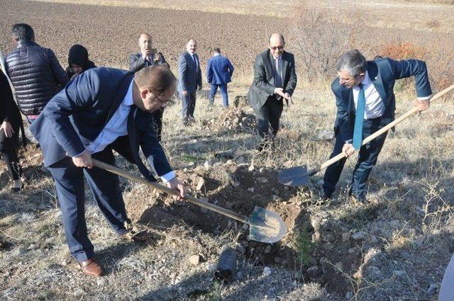 Denetimli Serbestlik Hükümlüleri Fidan Dikti