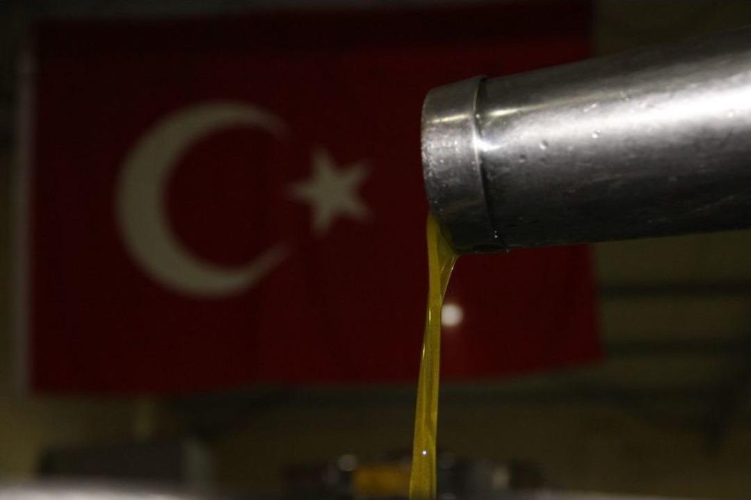 (&ouml;zel Haber) Zeytinin Verimi &Ccedil;ok Yağı Az