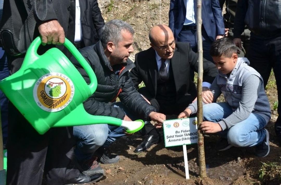 Şehitler Anısına Fidan Dikildi