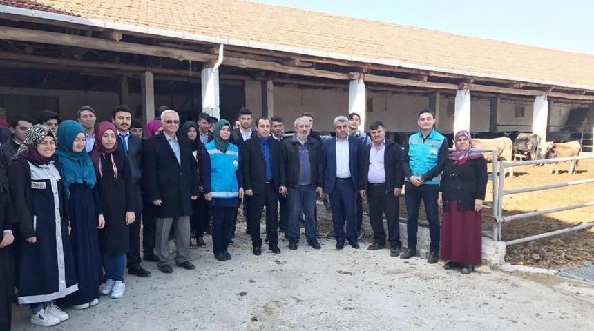 Hisarcık Kaymakamı Ve Belediye Başkanı &Ouml;ğrencilerin &rsquo;meslek Tanıtımı&rsquo; Etkinliğine Katıldı