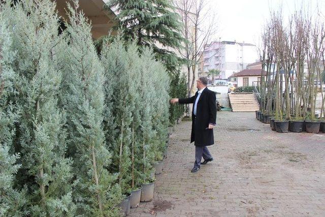 Hibe Edilen Fidanlar Beldeyi Daha Da Güzelleştirecek