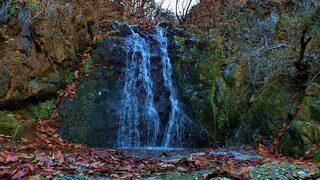 Başçiftlik’de Son Baharda Renk Cümbüşü