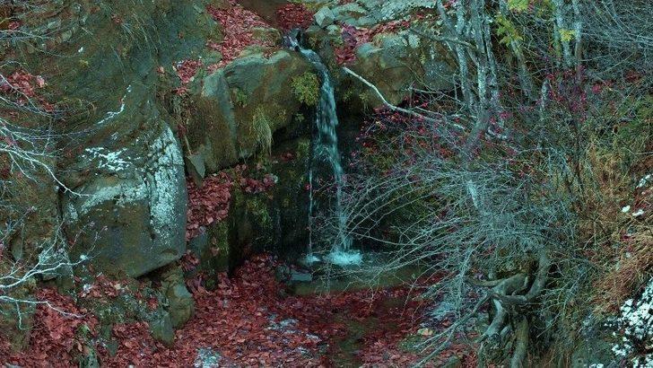 Başçiftlik’de Son Baharda Renk Cümbüşü G1