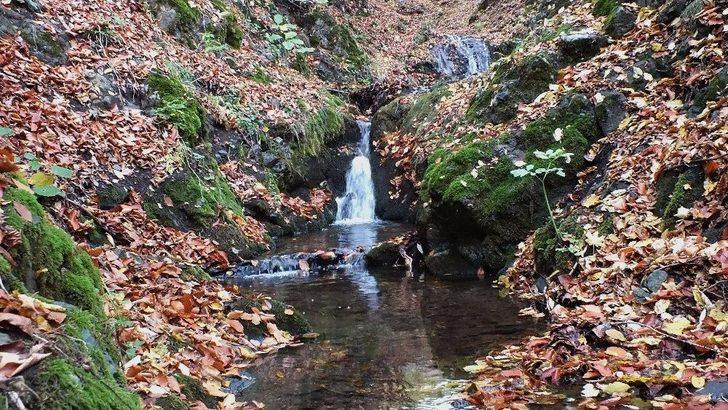Başçiftlik’de Son Baharda Renk Cümbüşü G3