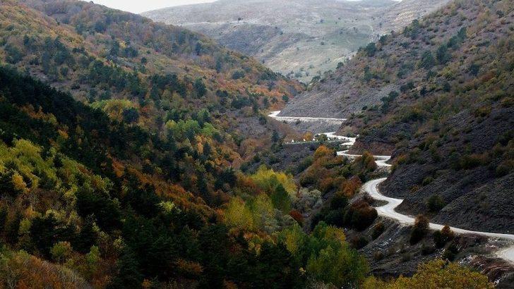 Başçiftlik’de Son Baharda Renk Cümbüşü G5