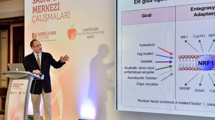 Harvard Sabri &Uuml;lker Merkezi&rsquo;nden Bilim D&uuml;nyasında Kolesterol İle İlgili &Ccedil;ığır A&ccedil;an Buluş