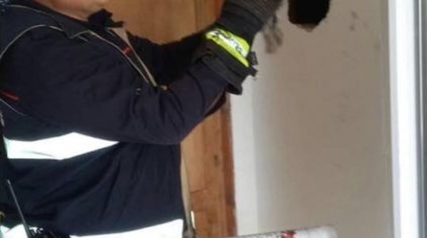 Havalandırma Boşluğuna Sıkışan Kedi Kurtarıldı